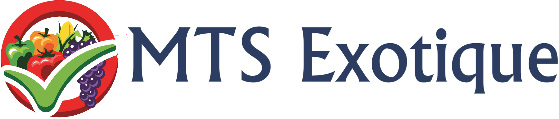 Logo MTS Exotique
